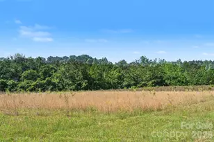 1013 Caldwell St, Statesville, NC 28677 - Photo 27
