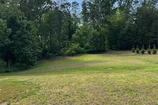 118 Perennial Gardens Ln, Rutherfordton, NC 28139 - Photo 3