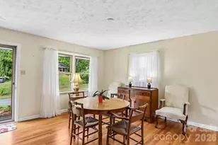 401 Lower Grassy Branch Rd, Asheville, NC 28805 - Photo 5
