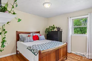 401 Lower Grassy Branch Rd, Asheville, NC 28805 - Photo 17