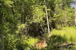 2031 Red Skin Trail, Iron Station, NC 28080 - Photo 45