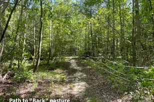 2031 Red Skin Trail, Iron Station, NC 28080 - Photo 41