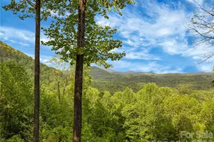 586 Tanglewood Ln, Saluda, NC 28773 - Photo 21