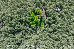 586 Tanglewood Ln, Saluda, NC 28773 - Photo 41