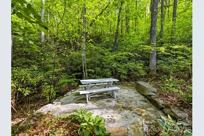 329 Kenmure Drive, Flat Rock, NC 28731 - Photo 45