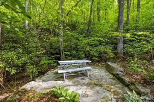 329 Kenmure Dr, Flat Rock, NC 28731 - Photo 45