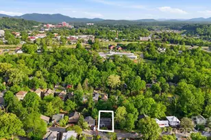 107 Courtland Ave, Asheville, NC 28801 - Photo 47