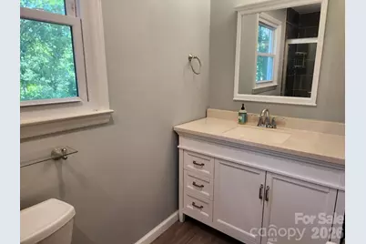 328 Swampfox Drive, Fort Mill, SC 29715 - Photo 19