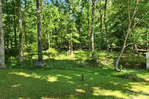 328 Swamp Fox Dr, Fort Mill, SC 29715 - Photo 23
