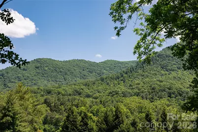 20 Small Mountain Drive, Asheville, NC 28805 - Photo 37
