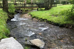 Tbd Stonewall Trail, Brevard, NC 28712 - Photo 5