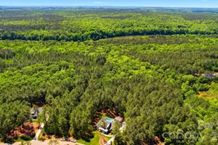6223 Chimney Bluff Rd, Lancaster, SC 29720 - Photo 45