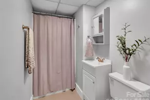 250 Reeves Cove Rd, Candler, NC 28715 - Photo 29