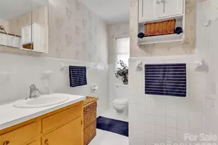 250 Reeves Cove Rd, Candler, NC 28715 - Photo 15