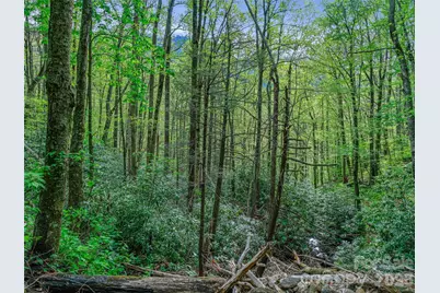 1161 Deep Gap Road, Burnsville, NC 28714 - Photo 11