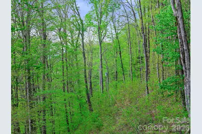 1161 Deep Gap Road, Burnsville, NC 28714 - Photo 13