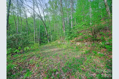 1161 Deep Gap Road, Burnsville, NC 28714 - Photo 9
