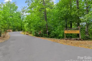 139 Picnic Point Rd, Lake Lure, NC 28746 - Photo 3