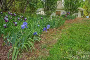 57 Talon Trail Ln, Etowah, NC 28729 - Photo 41