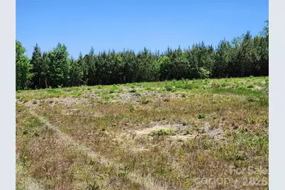 2423 Pine Grove Church Road, Eagle Springs, NC 28272 - Photo 3