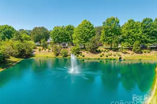 4593 Little Leaf Ln, Rock Hill, SC 29732 - Photo 23