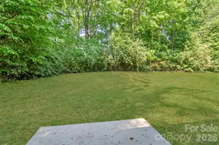 1314 Doby Springs Dr, Charlotte, NC 28262 - Photo 23