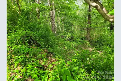 00 Fox Run Road, Waynesville, NC 28785 - Photo 11