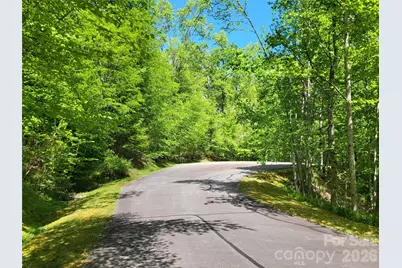 20 Rockbrook Overlook #L20, Brevard, NC 28712 - Photo 3