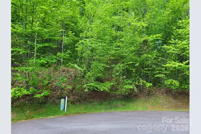 20 Rockbrook Overlook #L20, Brevard, NC 28712 - Photo 5