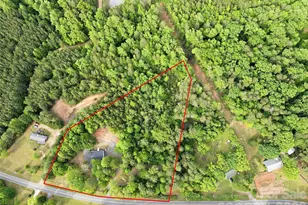 1335 Little Mountain Rd, Columbus, NC 28722 - Photo 43