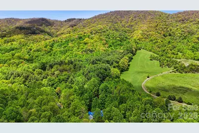 438 Serenity Mountain Road, Waynesville, NC 28786 - Photo 39