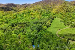 438 Serenity Mountain Rd, Waynesville, NC 28786 - Photo 39