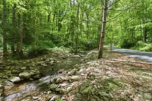 438 Serenity Mountain Rd, Waynesville, NC 28786 - Photo 45