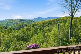 394 Hummingbird Ln, Elk Park, NC 28622 - Photo 3