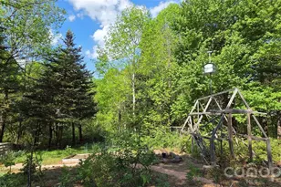 140 Elijah Hall Rd, Black Mountain, NC 28711 - Photo 29