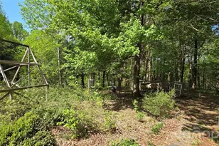 140 Elijah Hall Rd, Black Mountain, NC 28711 - Photo 33