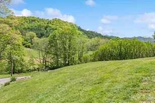 3607 Max Patch Rd, Clyde, NC 28721 - Photo 11