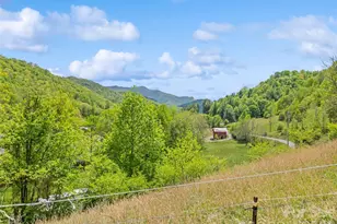 3607 Max Patch Rd, Clyde, NC 28721 - Photo 7
