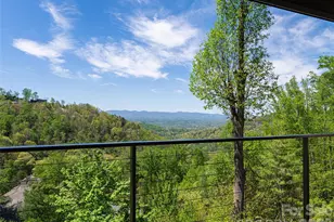 32 Timberwolf Ct, Asheville, NC 28804 - Photo 11