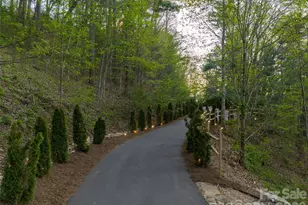 32 Timberwolf Ct, Asheville, NC 28804 - Photo 39