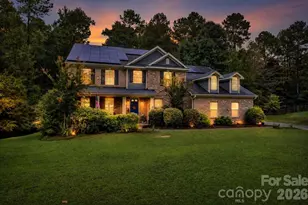 111 St Sophia Court, Mooresville, NC 28117 - Photo 3
