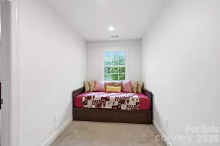 111 St Sophia Court, Mooresville, NC 28117 - Photo 29