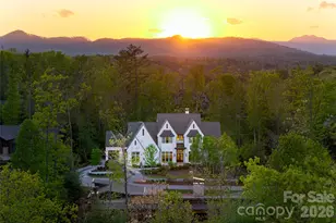 6 Stansbury Dr, Asheville, NC 28803 - Photo 43