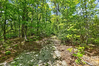 0 Bobcat Drive #741, Old Fort, NC 28762 - Photo 9