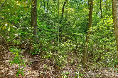 0 Bobcat Drive #741, Old Fort, NC 28762 - Photo 29