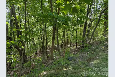 Lot 9 & 10 Andrew Banks Road, Burnsville, NC 28714 - Photo 5