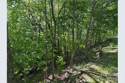 Lot 9 & 10 Andrew Banks Road, Burnsville, NC 28714 - Photo 7