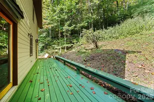 150 Sorghum Dr, Waynesville, NC 28785 - Photo 43