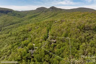 562 Panther Ridge Rd, Lake Toxaway, NC 28747 - Photo 39