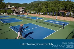 562 Panther Ridge Rd, Lake Toxaway, NC 28747 - Photo 45